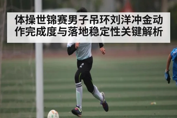 体操世锦赛男子吊环刘洋冲金动作完成度与落地稳定性关键解析